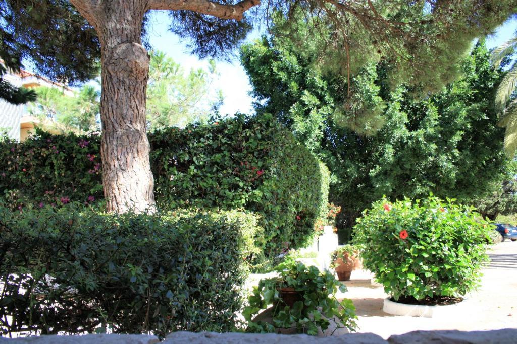 Quinta Da Ameijeira Lagos Luaran gambar